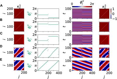 Modeling Tumor Disease and Sepsis by Networks of Adaptively Coupled Phase Oscillators